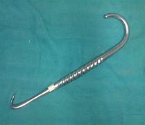 Image result for Hook Safety Clip