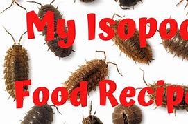 Image result for Isopod Cooking