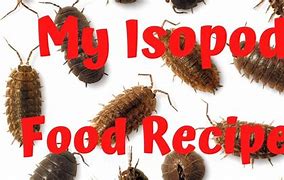 Image result for giant sea isopods foods