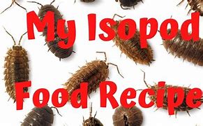 Image result for Isopod Cooking