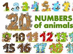 Image result for Number 5 One Animal