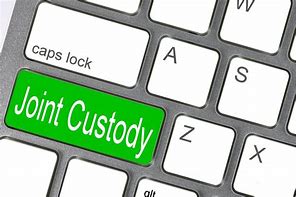 Image result for Best for Joint Custody Schedule