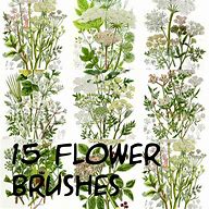 Image result for Flower Brushes Photoshop