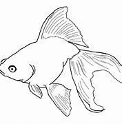 Image result for Fish Colouring In
