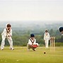 Image result for Cricket Wallpaper Cool Sunset