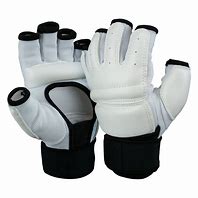 Image result for Martial Arts Gloves Korean