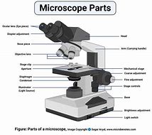Image result for Monoscope Parts