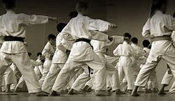 Image result for Types of Karate in the World