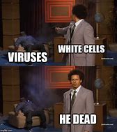 Image result for White Cell Meme