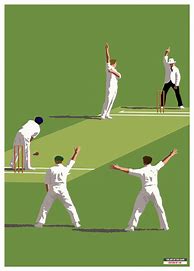 Image result for LBW Cricket