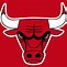 Image result for Chicago Bulls Emblem