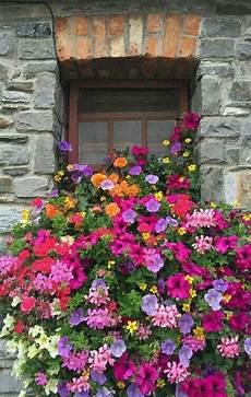 fioriere da davanzale pin di oya s 246 zeren su ev fiori da balcone fioriere per fioriere da davanzale pin di oya s 246 zeren su ev fiori da balcone fioriere per