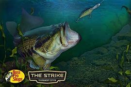 Image result for Bass Fishing Wallpaper Desktop