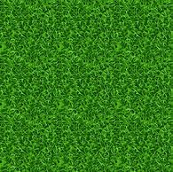 Image result for Flat Grass Texture