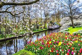 Image result for Spring in Netherlands
