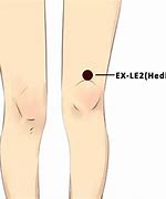 Image result for Knee Pain Acupuncture Points