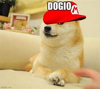 Image result for Derp Dog Meme