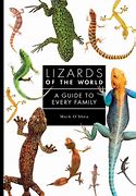 Image result for Lizard Family