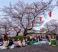 Image result for Spring in Tokyo