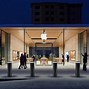 Image result for Apple Store Turkey Roof