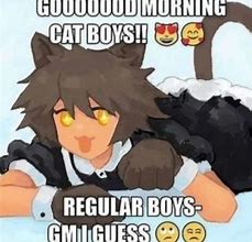 Image result for Male Catboy Meme