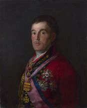 Image result for Wellington The Duke