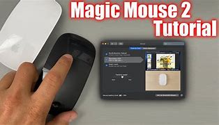 Image result for Apple Mac Mouse