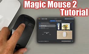 Image result for Magic Mouse Appel