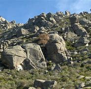 Image result for berrocal