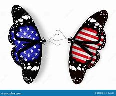 Image result for American Flag Butterfly