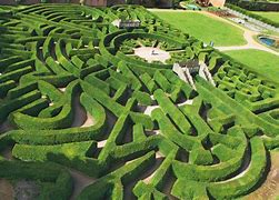 Image result for Garden Maze