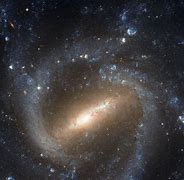 Image result for Barrel Galaxy