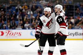 Image result for NHL Coyotes