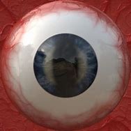 Image result for Scary Eye Texture
