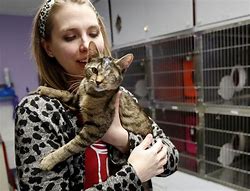 Image result for Animal Shelters & Humane Societies