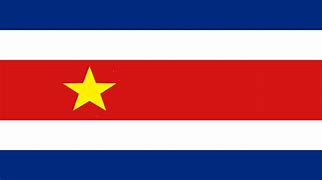 Image result for Communist Costa Rica Flag