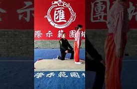 Image result for co_oznacza_zhao_jie