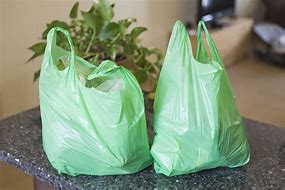 Image result for Plastic Grocery Bags