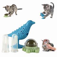 Image result for Dental Cat Toys