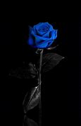 Image result for Blue Rose Phone Wallpaper