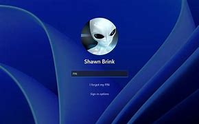 Image result for Login Screen Background Windows 11 Forgot Pin