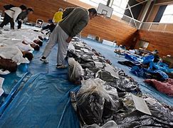 Image result for Tohoku Earthquake Bodies