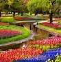 Image result for Beautiful Spring Desktop Wallpaper Nature