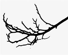 Image result for Branches Clip Art Black and White