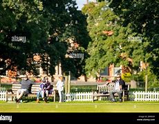 Image result for Summer Evening Cricket Pitch