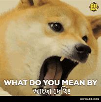 Image result for Bangla Doge Meme