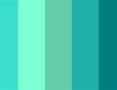 Image result for 8 Plus Colors