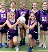 Image result for What Is an VNA School Netball
