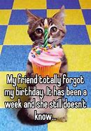 Image result for They Forgot My Birthday
