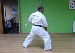 Image result for Kamae Karate
